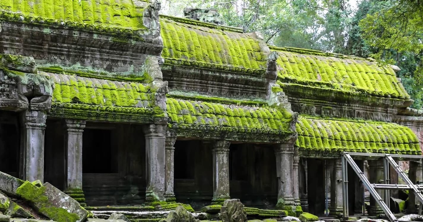 ភាពអស្ចារ្យនៃ «ស្លែ» ដុះនៅលើថ្មប្រាសាទបុរាណ ធ្វើឱ្យរូបចម្លាក់ថ្មហាក់ដូចមានជីវិត