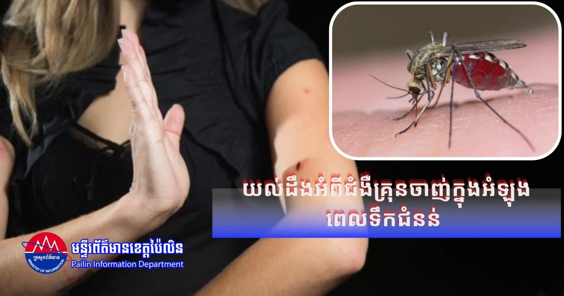 យល់ដឹងអំពីជំងឺគ្រុនចាញ់ក្នុងអំឡុងពេលទឹកជំនន់